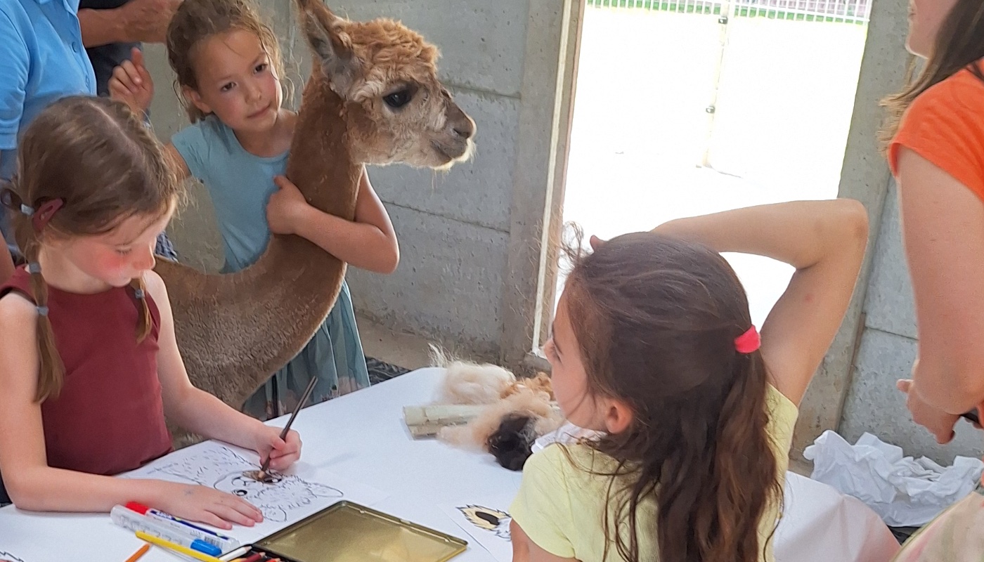 Verjaardag met alpaca's